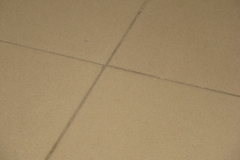 DSC05694