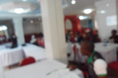 SAM_4817